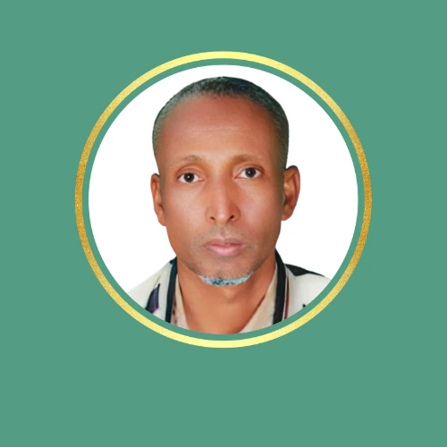 Assoc. Prof. Dr. Ali Seid